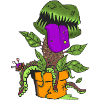 Carnivorous Plant