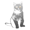 chat