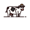 Élevage de vaches fermières