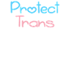 Protect transgender children