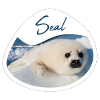 Seal pup seal - Design