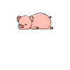 Tired pig. Gift cute cute.