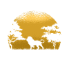 Lion Afrique