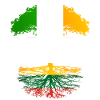 Irish Grown With Lithuanian Roots