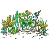 Green meadow