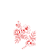 pole dancer