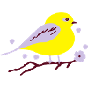 Birdie