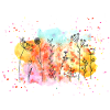 Aquarelles Flower Meadow | Printemps & Été