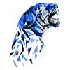 Résumé du tigre
