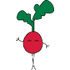 Radish doodle