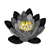 Seerose Rosendesign