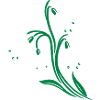 Snowdrop Spring Flowers Spring Flowers