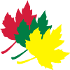 maple leaf
