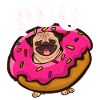 Donut Carlin Carlin