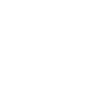 Zwergspitz Pomeranian