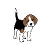 Beagle, chiot, chien, doux. comique