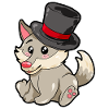 Magician Wolf