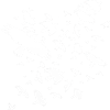 Flock of Birds