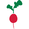 radish
