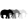 3 Elephants