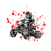 ATV Quad Racer