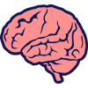 cerveau humain cervelle brain 1010