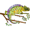 Chameleon
