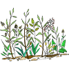 Green meadow
