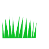 green grass