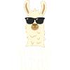 Lama Llama No Prob-Llama Cartoon Gift