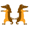 Dachshund double pack