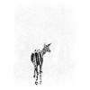 Forest Deer WHITE