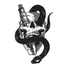 Skull & Snake