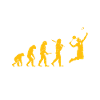 Badminton Evolution Federball Sport