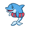 Dolphin