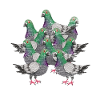 Pigeon pigeons