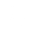 Project Manager