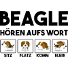 Beagle
