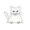 White cat with blue eyes