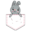 Bunnies in your pocket