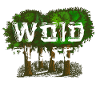 Woidbuasch dialect dialect dialect Waldbursche