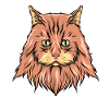 Norvégien chat