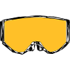 Ski goggles