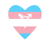 Transgender heart