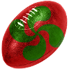 Ballon rugby Croix Basque