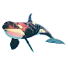 Orca