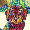 Wire-haired dachshund puppy art