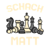 Chess Checkmate Chessplayer