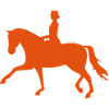 Dressage
