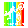 Mountain bikers